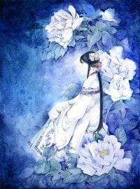 美人录