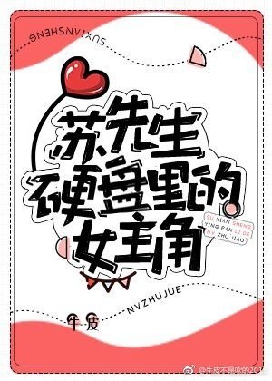 苏先生硬盘里的女主角