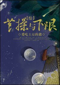 （综同人）[综]节操与下限