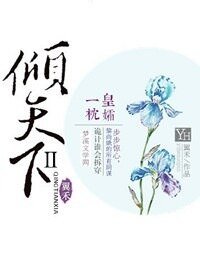 皇孀一枕倾天下+皇孀一枕倾天下Ⅱ