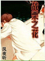 颤栗之花