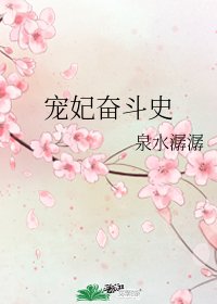 宠妃奋斗史