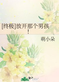 [终极]放开那个男孩！
