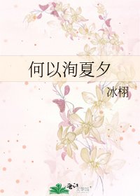 何以洵夏夕