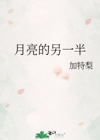 月亮的另一半