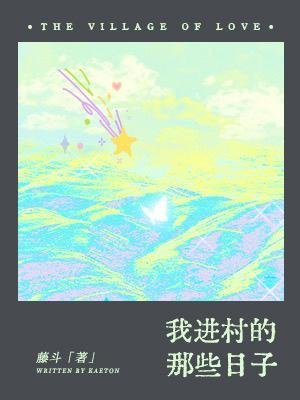我進村的那些日子