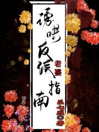 诱哄反派老婆指南