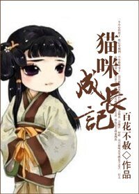 猫咪成长记